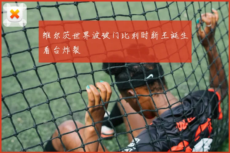 维尔茨世界波破门比利时新王诞生看台炸裂