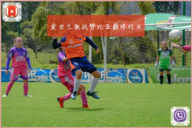 爱尔兰激战赞比亚巅峰对决