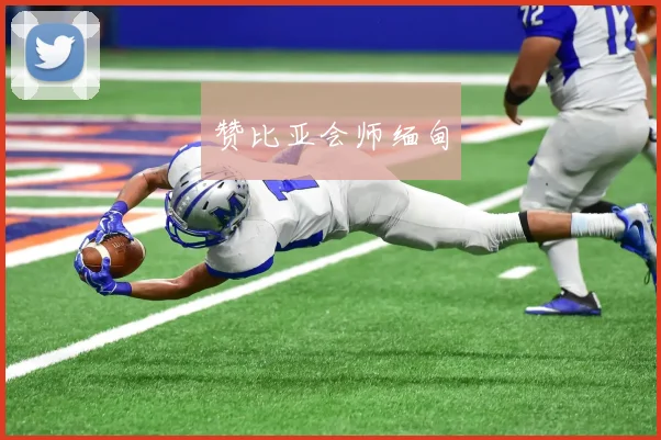 赞比亚会师缅甸