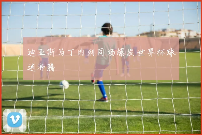 迪亚斯马丁内利同场爆发世界杯球迷沸腾