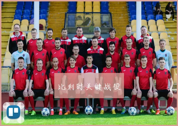 比利时关键战役