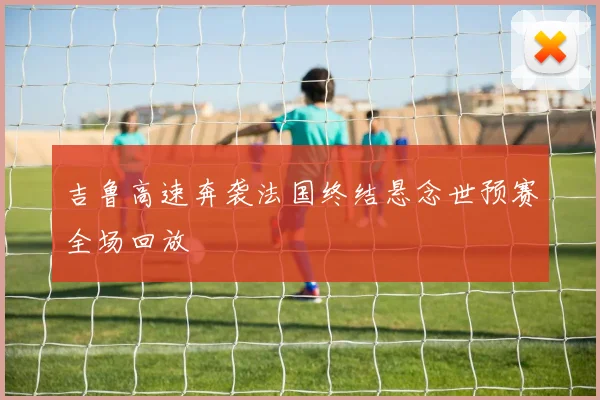 吉鲁高速奔袭法国终结悬念世预赛全场回放
