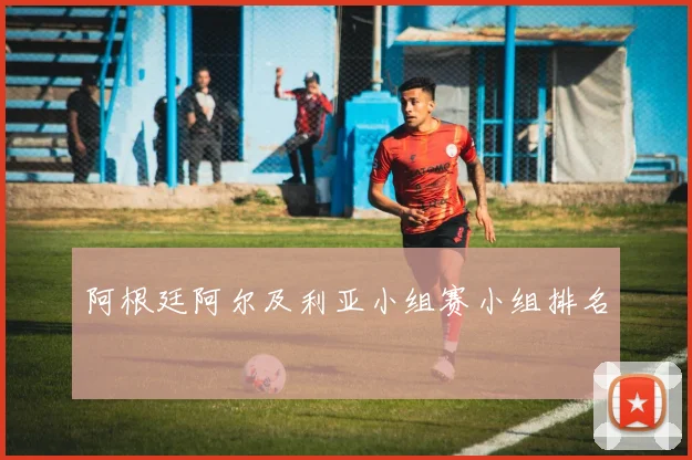 阿根廷阿尔及利亚小组赛小组排名