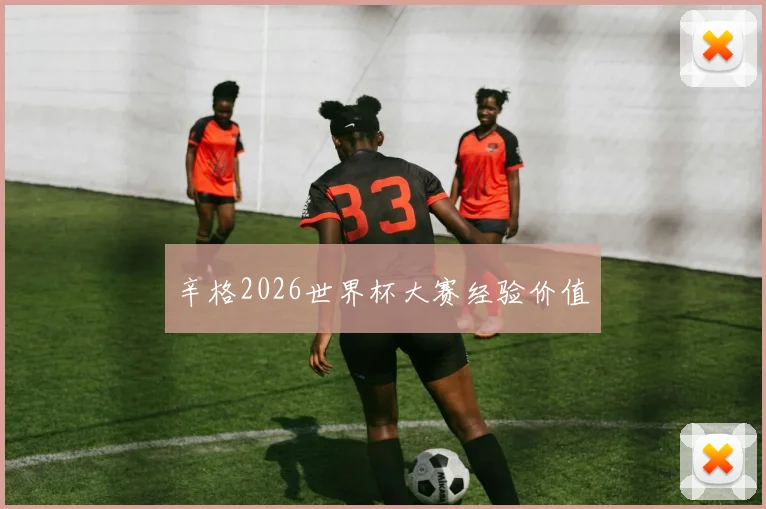辛格2026世界杯大赛经验价值
