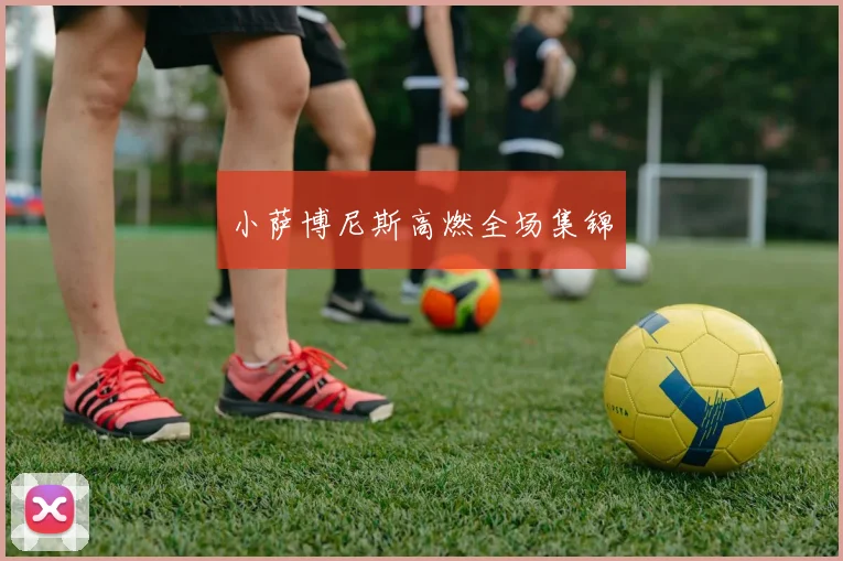 小萨博尼斯高燃全场集锦
