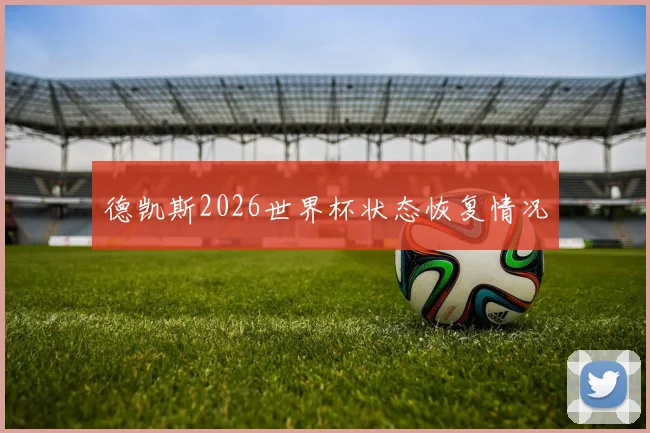 德凯斯2026世界杯状态恢复情况
