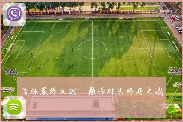 马林最终决战：巅峰对决终局之战