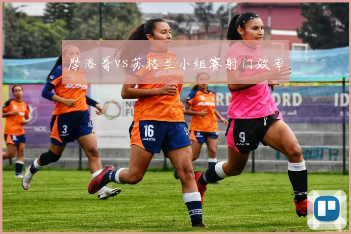摩洛哥vs苏格兰小组赛射门效率