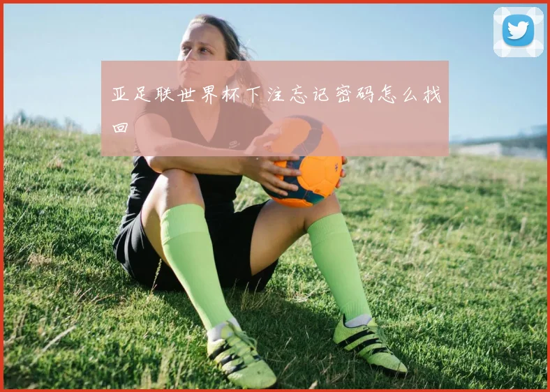 亚足联世界杯下注忘记密码怎么找回