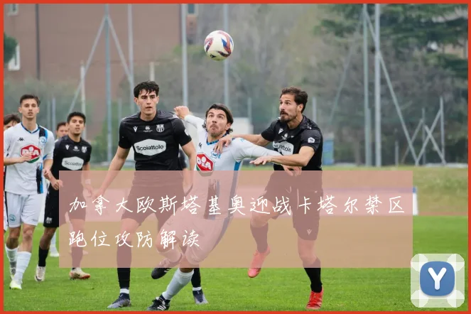 加拿大欧斯塔基奥迎战卡塔尔禁区跑位攻防解读
