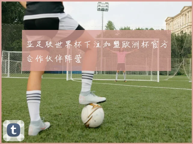 亚足联世界杯下注加盟欧洲杯官方合作伙伴阵营